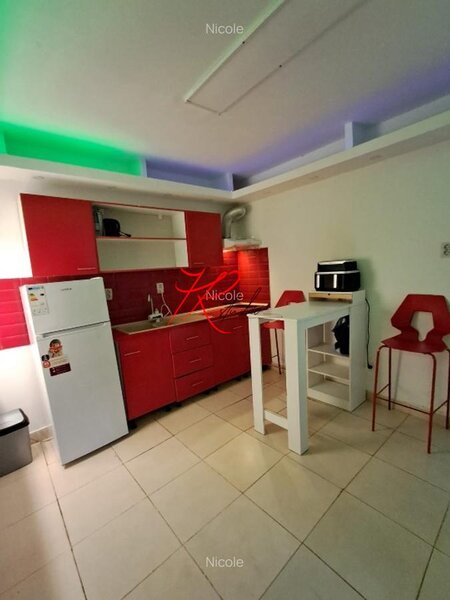 Vanzare garsoniera Mosilor in vila